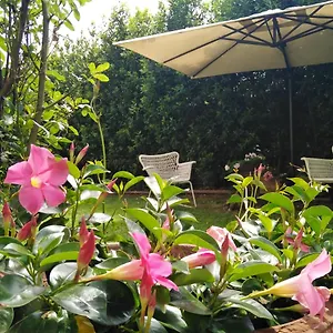 bio-bb-vivere-la-vita.it-lombardy.com/